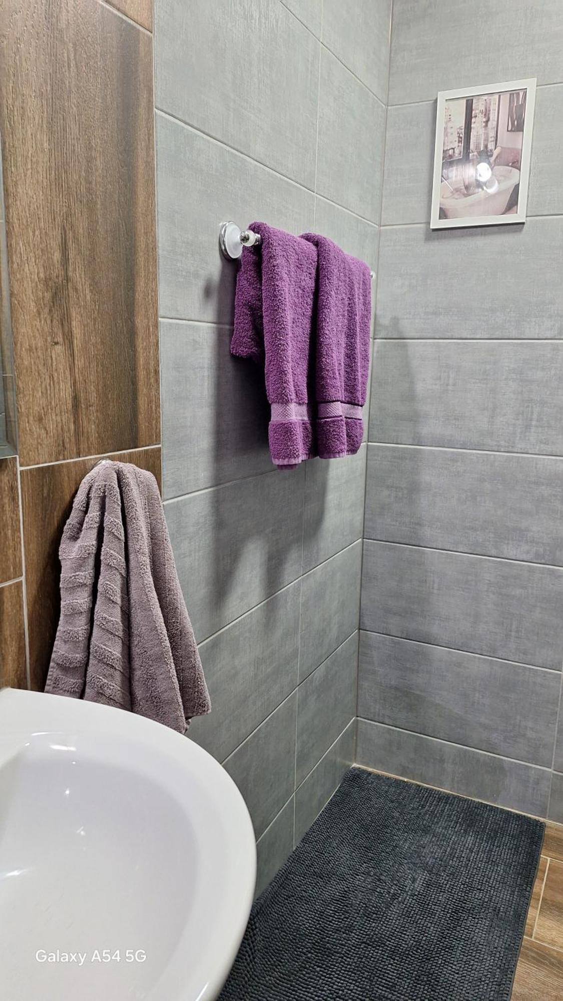 Stan Na Dan Dunja 2 Appartement Vrsac Buitenkant foto