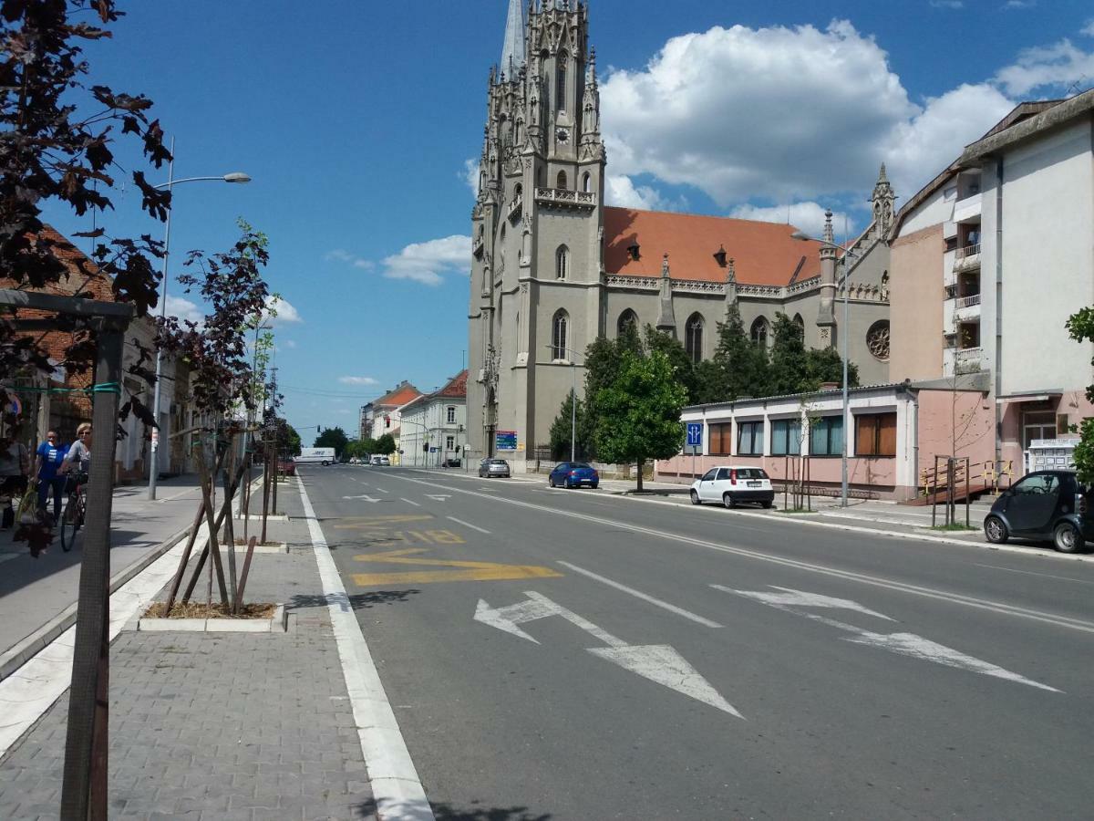 Stan Na Dan Dunja 2 Appartement Vrsac Buitenkant foto